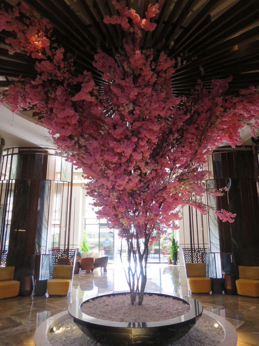 imagini hotel KIRMAN CALYPTUS